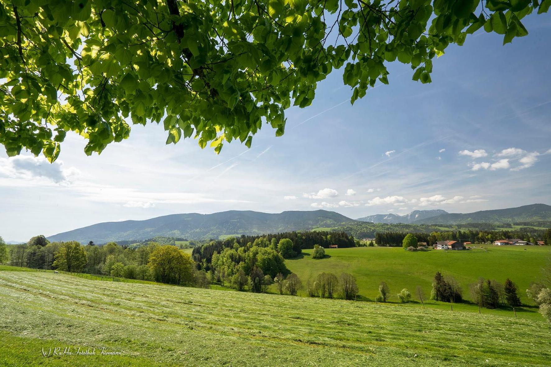 Monteurzimmer Am Teisenberg Neukirchen am Teisenberg エクステリア 写真